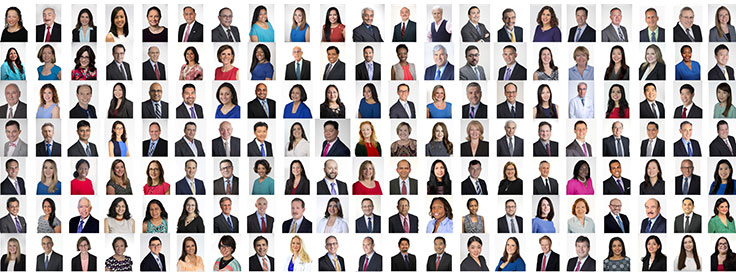 Matrix of Englewood Health physician headshots