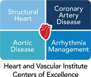 The Heart and Vascular Institute's four centers of excellence